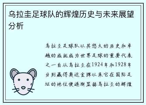 乌拉圭足球队的辉煌历史与未来展望分析