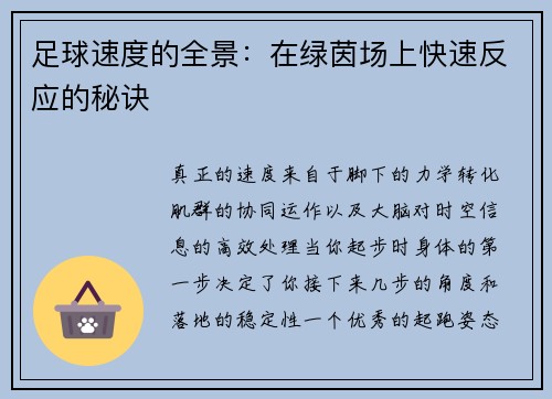 足球速度的全景：在绿茵场上快速反应的秘诀